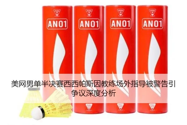 美网男单半决赛西西帕斯因教练场外指导被警告引争议深度分析