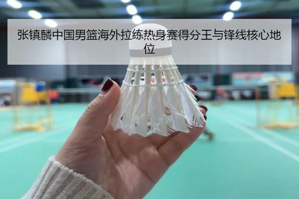 张镇麟中国男篮海外拉练热身赛得分王与锋线核心地位