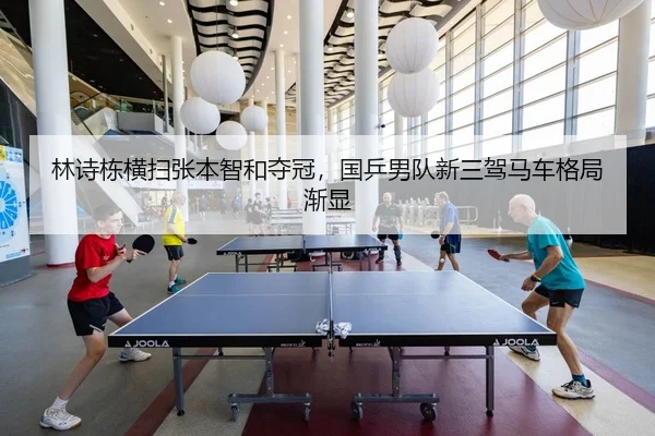 lin-shi-dong-heng-sao-zhang-ben-zhi-he-duo-guan-guo-ping-nan-dui-xin-san-jia-ma-che-ge-ju-jian-xian-2-464.jpg