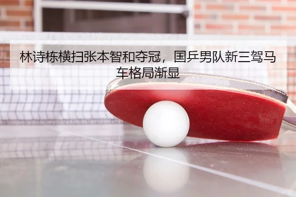 lin-shi-dong-heng-sao-zhang-ben-zhi-he-duo-guan-guo-ping-nan-dui-xin-san-jia-ma-che-ge-ju-jian-xian-3-330.jpg